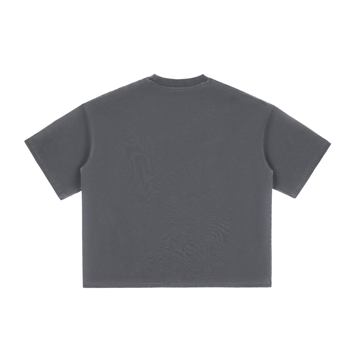 H4RV3LL DOG ON LEGACY Vintage Washed Boxy T-Shirt